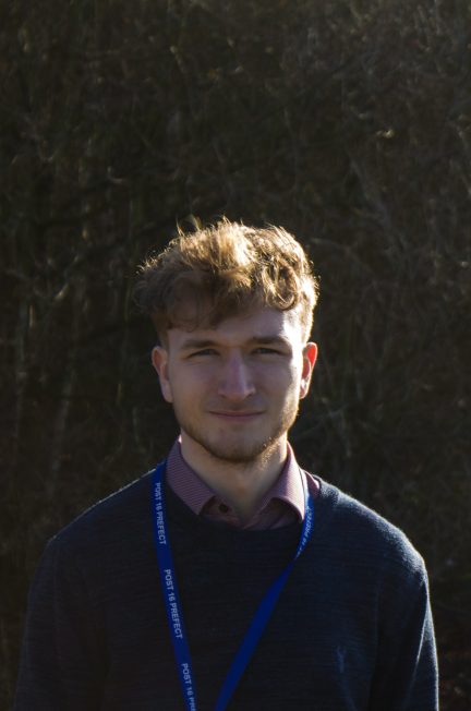 man in blue sweater standing near trees during daytime