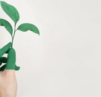 Sustainable Fashion - Person's Left Hand Holding Green Leaf Plant